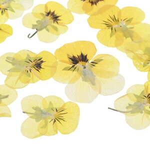 M METERXITY 12 p { Rȑ  Ntg/ DIY/Ό/XN bvubLO/Lh/G|LVpi/ԊG[CG[]