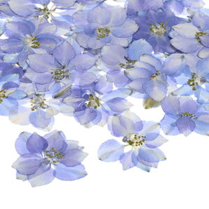 M METERXITY 48 p { Rȑ  Ntg/ DIY/Ό/XN bvubLO/Lh/G|LVpi/tHgt[yp[vz