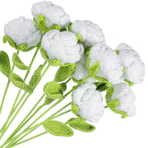 uxcell ҂ olH҂ݏȔAXetNVFԃo^CMtgz[EFfBOp[eB[ItBXe[ufR[VAzCgJEg10