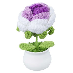 PATIKIL NVF 1 ҂ݕNVFԃ[YAԒaԃMtgz[fR[V p[v/zCg