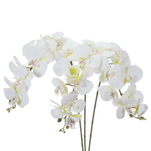 PATIKIL A[eBtBVI[LhXe 41C`A3pbN 9wbhtFCNt@mvVXt[ A^b`tFCNI[Lht[u ` F[X z[ EFfBOfR