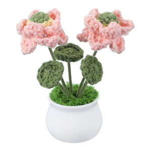 PATIKIL NVF 1 ҂ݕNVFԃ[^XAԒaԃMtgz[fR[V sN