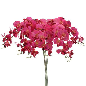 PATIKIL A[eBtBVI[LhXe41"A6pbN9wbhtFCNt@mvVXt[A^b`tFCNI[Lht[u `Aԕrz[EFfBOfR[Vp