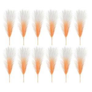 PATIKIL 17" tFCNppXOX 12 {w ~A EFfBOt[p[eB[ԕrAWgZ^[s[Xp lHIȔw ttXe Of[VIW