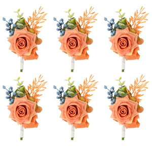 PATIKIL [YRT[W VY ԉ VYtYl ԉŕtYl z[J~O Ǝ vp[eB[ EFfBOt[ANZT[ CgF