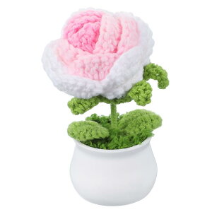 PATIKIL NVF 1 ҂ݕNVFԃ[YAԒaԃMtgz[fR[V sN/zCg