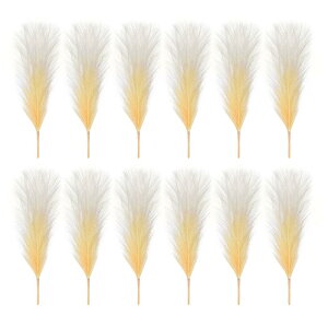 PATIKIL 17" tFCNppXOX 12 {w ~A EFfBOt[p[eB[ԕrAWgZ^[s[Xp lHIȔw tt Xe Of[Vx[W