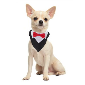 RENEWREVITAL ̃^LV[h ^LV[hp ̃EFfBOߑ ptH[}o_i݃RX`[ {E^C ߉\ obNt ^ u  bNbh