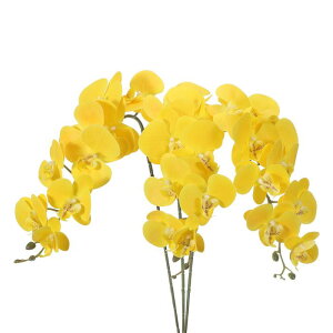 PATIKIL A[eBtBVI[LhXe 41C`A3pbN 9wbhtFCNt@mvVXt[ A^b`tFCNI[Lht[u ` F[X z[ EFfBOfR