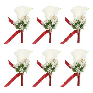 PATIKIL YpJ[E[Eu[gjAA6ZbgA̐VYVwu[gjAERT[WAALOAp[eB[Avp̃stAo[KfB/zCg