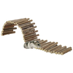 RENEWREVITAL n  X^[̂  _ȃn  X^[pؐ 11.8C`̃n  X^[ptFX n  X^[P[W̑ƃv bgtH[ n  X^[P[W̃ANZT[i19.69