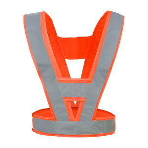 CAPASTEC SxXg ˃xXg V^  ̖h~ S`bL ƕ H x ʈS y ˍ F jp 邢IW