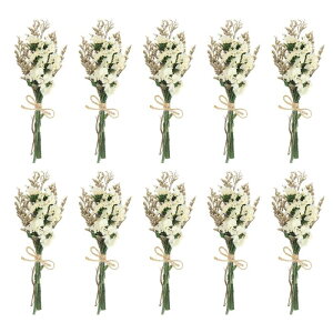 PATIKIL ~jԃu[P 10 Yȑ RȖ쐶 ԑ XefR[V xr[uX {w ~At[vgt[ NtgDIYtHgvbvMtgEFfBOfR