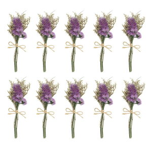 PATIKIL ~jԑ 10 Yȑ RȖ쐶 ԑ Xe xr[uX {w ~At[vgt[ NtgDIYtHgvbvMtgEFfBOfR[V _[N