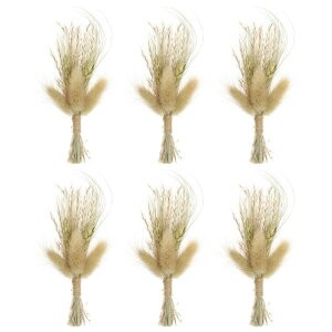 PATIKIL ~jԑ 6 ppXOX R 쐶  st  xr[uX {w ~A A  Ntg DIY ʐ^p Mtg EFfBO F