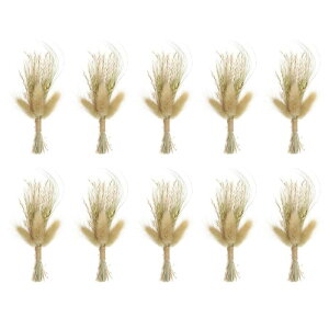 PATIKIL ~jԑ 10 ppXOX R 쐶  st  xr[uX {w ~A A  Ntg DIY ʐ^p Mtg EFfBO F