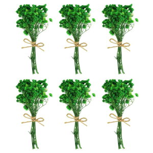 PATIKIL ~jԑ 6 xr[YuXVR쐶ԑ XefR{zԐAԃNtgDIYtHgvbvMtgEFfBOfR[V 