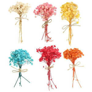 PATIKIL ~jԃu[P 6 xr[YuXVRԃXefR{zԐAԃNtgDIYtHgvbvMtg sN/u[/IW/bh/zCg/CG[