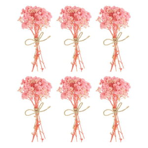 PATIKIL ~jԃu[P 6 xr[YuXR 쐶 ԑ XefR{zԐAԃNtgDIYtHgvbvMtgEFfBOfR[V CgsN