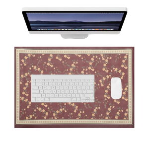 CAPASTEC fXN}bg }EXΉ fXNpbh ^}EXpbh PU ItBX Q[ ƒ p h fM ϋv  60*40cm