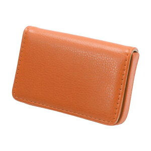 CAPASTEC h Y hP[X e J[hP[X oȒP  Vv AEj Mtg jp 1 IW