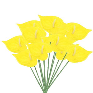 PATIKIL 13" lHAXE[̉ 10pbN ivԃt[AWgu[P z[fR[V EFfBO Ղ p[eB[p CG[