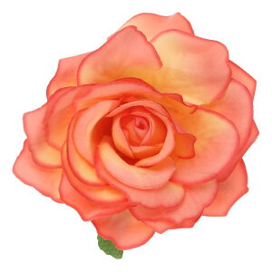 PATIKIL [Y{w~AwANbvApEFfBOp[eB[_XhXߑANZT[o^Cf[  MtgAIW