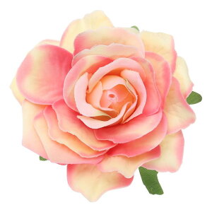 PATIKIL [Y{w~AwANbvApEFfBOp[eB[_XhXߑANZT[o^Cf[  MtgAs[`sN