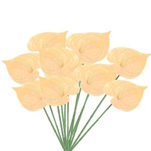 PATIKIL 13" lHAXE[̉ 10pbN ivԃt[AWgu[P z[fR[V EFfBO tFXeBop[eB[p CgR[