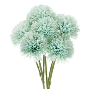 M METERXITY 6pbN lHLN{[ 11" tFCNAWTCVNu[P A^b` tFCNt[ ƒ//NX}X/p[eB[/K[fItBXpyH u[z