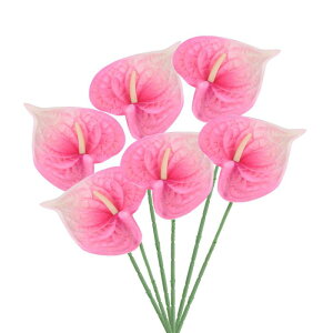 PATIKIL 13" lHAXE[̉ 6Zbg ivԃt[AWgu[P z[fR[V EFfBO Ղ p[eB[p CgsN