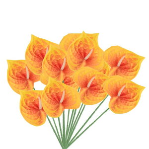 PATIKIL 13" lHAXE[̉ 10pbN ivԃt[AWgu[P z[fR[V EFfBO Ղ p[eB[p _[NIW