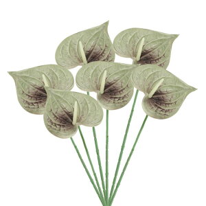 PATIKIL 13" lHAXE[̉ 6Zbg ivԃt[AWgu[P z[fR[V EFfBO Ղ p[eB[p O[ 