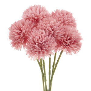 M METERXITY 6 lHLN{[  11" tFCNAWTCVNu[P A^b` tFCNt[ ƒ//NX}X/p[eB[//ItBXp[_[NsN]