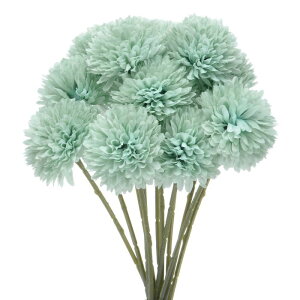 M METERXITY 12pbN lHLN{[ 11" tFCNAWTCVNu[P A^b` tFCNt[ ƒ//NX}X/p[eB[/K[fItBXpyH u[z