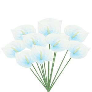 PATIKIL 13" lHAXE[̉ 10pbN ivԃt[AWgu[P z[fR[V EFfBO tFXeBop[eB[p u[zCg