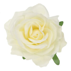 PATIKIL [Y{w~AwANbvApEFfBOp[eB[_XhXߗރANZT[o^Cf[  MtgAx[W