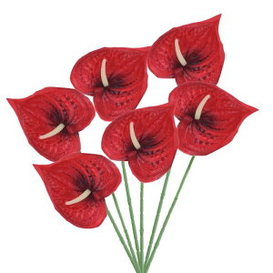 PATIKIL 13" lHAXE[̉ 6Zbg ivԃt[AWgu[P z[fR[V EFfBO Ղ p[eB[pbh