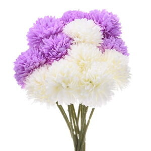 M METERXITY 12 lHLN{[ 11" tFCNAWTCVNu[P EFfBO/NX}Xp A^b`tFCNt[[N[zCg Cgp[v]