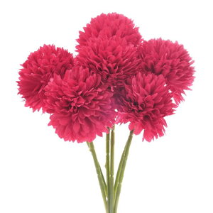 M METERXITY 6 lHLN{[  11" tFCNAWTCVNu[P A^b` tFCNt[ ƒ//NX}X/p[eB[/K[fItBXp[[Ybh]