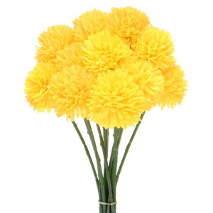 M METERXITY 12 lHLN{[  11" tFCNAWTCVNu[P A^b` tFCNt[ ƒ//NX}X/p[eB[/K[fItBXp[CG[]