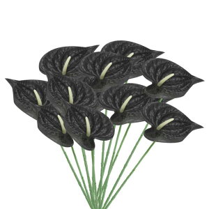 PATIKIL 13" lHAXE[̉ 10pbN ivԃt[AWgu[P z[fR[V EFfBO Ղ p[eB[p