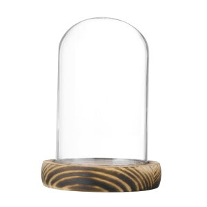 M METERXITY NVFKXh[ 3.9"x2.4"KXfBXvCP[X DIYXm[O[u/ȐA//Lh/f/yYp e[ugbvZ^[s[X [Ă]