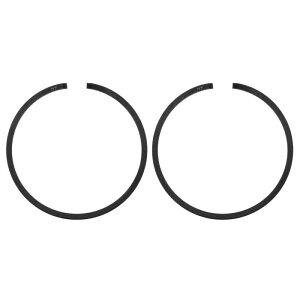 M METERXITY 2 pbN sXg O Zbg 36.5mm x 1.5mm WsXg O sXg O d\[p `F[\[i []