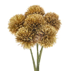 M METERXITY 6 lHLN{[  11" tFCNAWTCVNu[P A^b` tFCNt[ ƒ//NX}X/p[eB[//ItBXpyFz