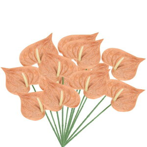 PATIKIL 13" lHAXE[̉ 10pbN ivԃt[AWgu[P z[fR[V EFfBO Ղ p[eB[p _[NCG[