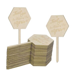 M METERXITY 30�p�b�N ��������`���Ă���Ă��肪�Ƃ��Ƃ����v�����g���x�� 4x2x0.08(LxWxT)�Z�p�` �ؐ��v�����g�X�e�[�N�X���x�� �K�[�f���|�b�g�A���p �Ȃ������x��/���Ӎ՗p�i