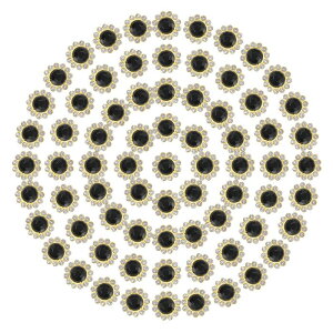 PATIKIL 200̖DtpCXg[12mm 2wDtpЂ܂t[N[CXg[KXWF^x[XEFfBOhXߗރNtgpA