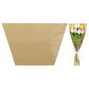 M METERXITY 50pbN̉ԑpt[obO a//Ǝp̃Ntgt[bsOy[p[ ԑpt[X[u 13.8"x 15.7", F