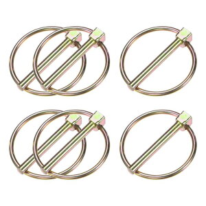 M METERXITY 6pbN 1/4" `s with O 1-31/32" Yf|`s g[[s {[g/gbN/gN^[/g[/Ŋ@ bNNbvt@Xi[s 6x50mm J[Y